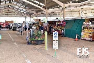 Exposición sobre la diversidad sexual en el Mercado Municipal/Francisco Javier Santana.